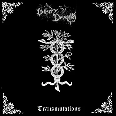 Transmutations