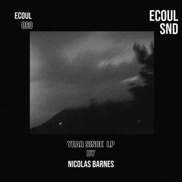 Year Since LP by Nicolas Barnes - album cover