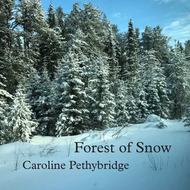 Forest of Snow