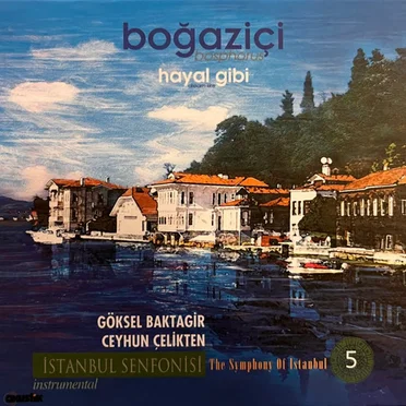 Hayal Gibi by Göksel Baktagir - album cover