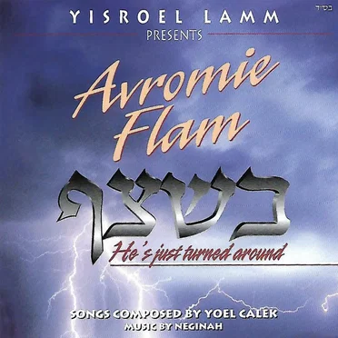 B’shetzef - He’s Just Turned Around by Avrumi Flam - album cover