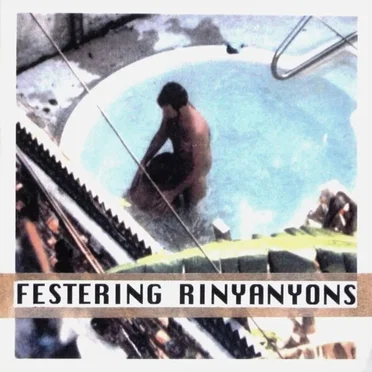 Swimmin' Hole by Festering Rinyanyons - album cover
