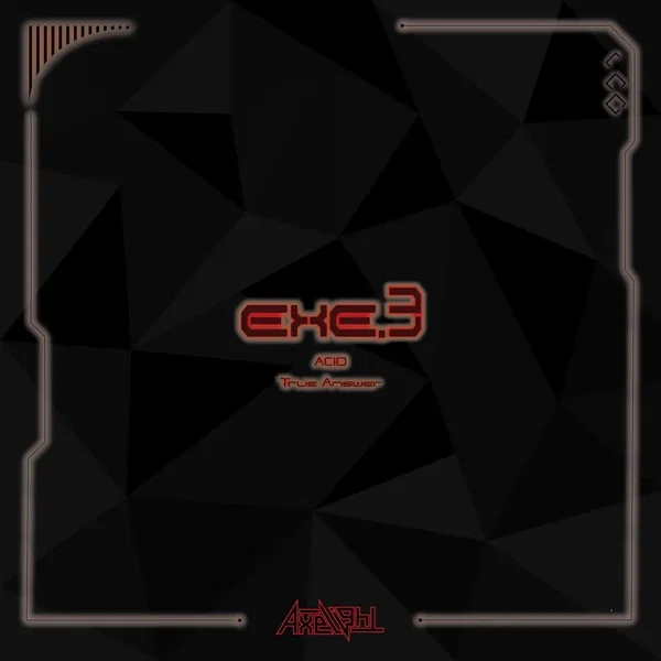 EXE.3
