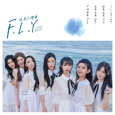 Fly 成长三部曲