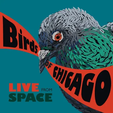Live From Space by Birds of Chicago - album cover