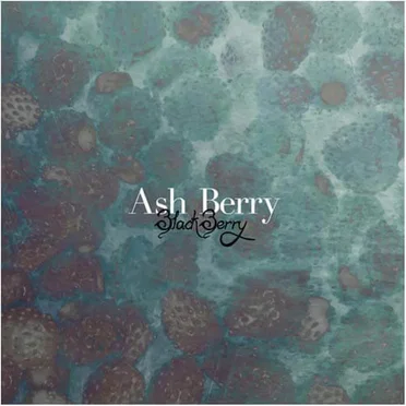 Black Berry by Ash Berry - album cover