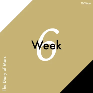 Week 6 by Various Artists - album cover