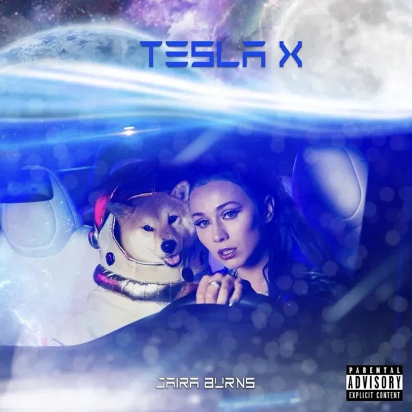 Tesla X
