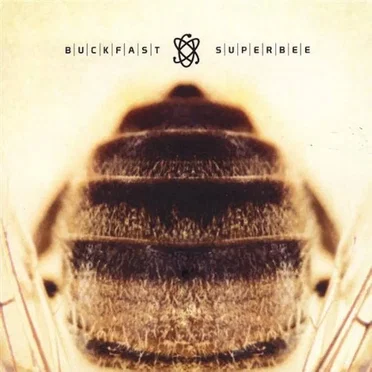 Buckfast Superbee by Buckfast Superbee - album cover