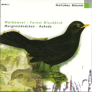 Waldamsel: Morgenständchen by Walter Tilgner - album cover