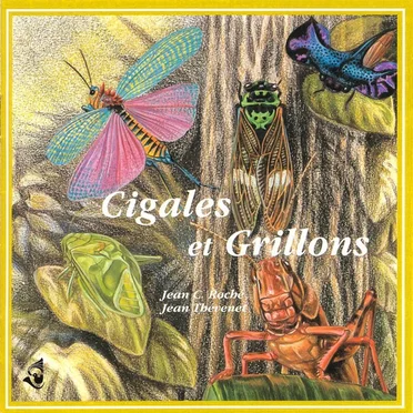 Cigales et grillons / Cicadas and Crickets