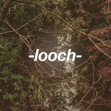 Ненависть и разочарование by Looch - album cover