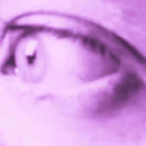 Observer