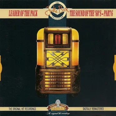Leader of the Pack: The Sound of the 60's, Part 6 by Various Artists - album cover