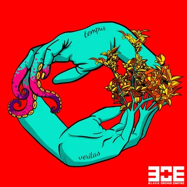 Tempus Veritas by Black Orchid Empire - album cover
