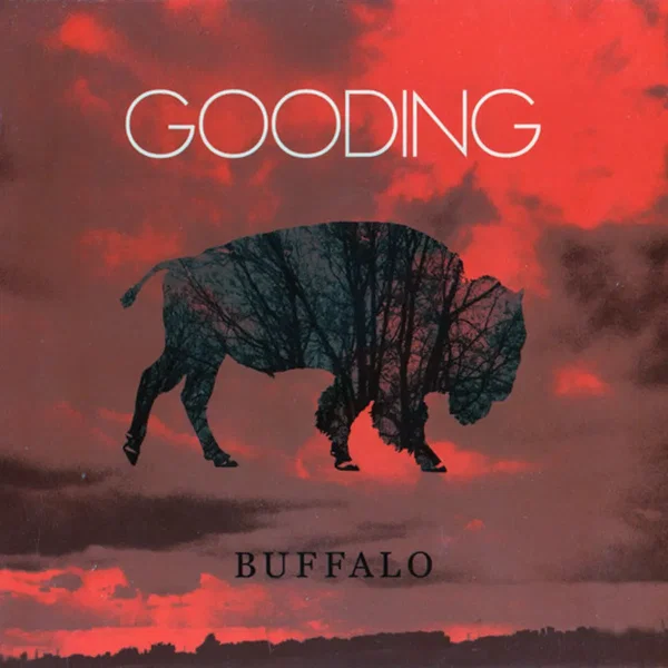 Buffalo