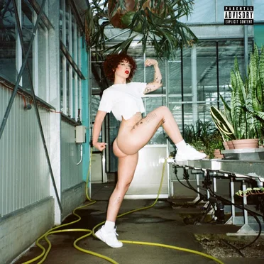 Automne (OrGasm) by $afia Bahmed-Schwartz - album cover