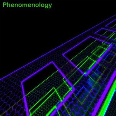 Phenomenology