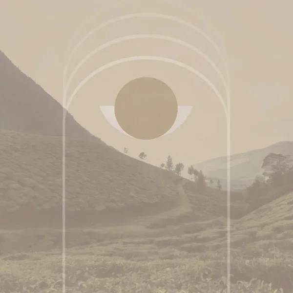 Lost in the Scenery