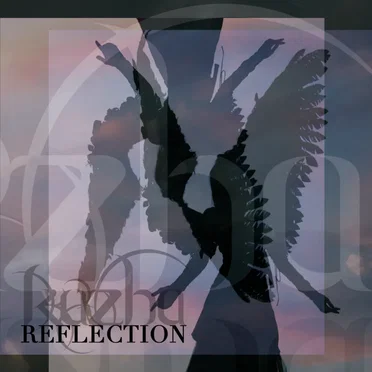 Reflection