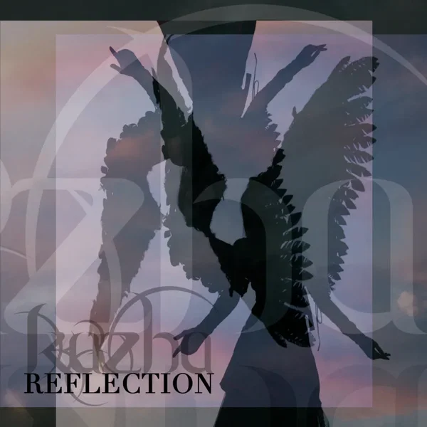 Reflection