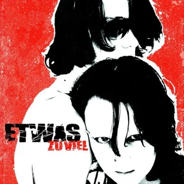 Zu viel by Etwas - album cover