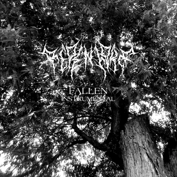 Fallen (Instrumental)