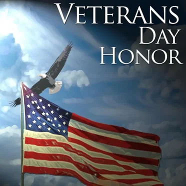 Veterans Day Honor by Various Artists - album cover