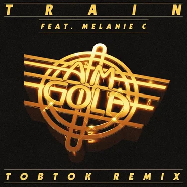 AM Gold (Tobtok remix)