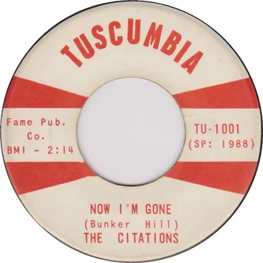 Now I'm Gone / Better Stop Your Lying by The Citations - album cover