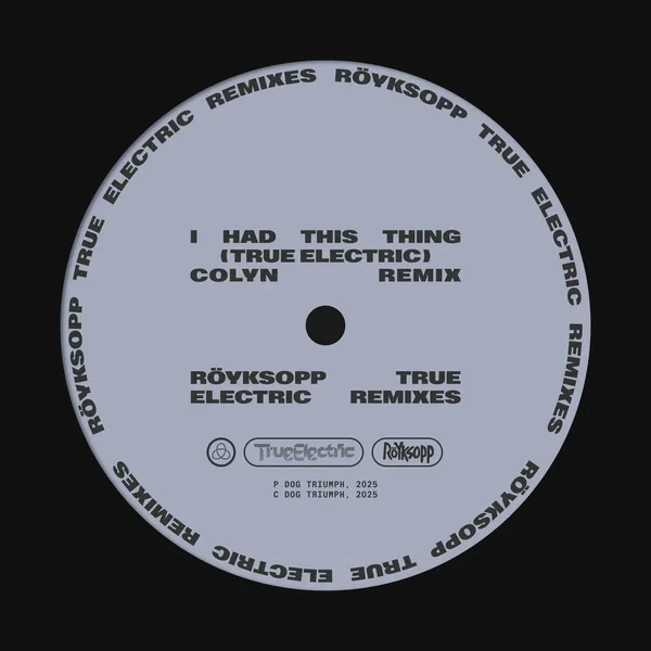 I Had This Thing (True Electric) (Colyn remix)
