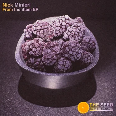 From the Stem EP by Nick Minieri - album cover