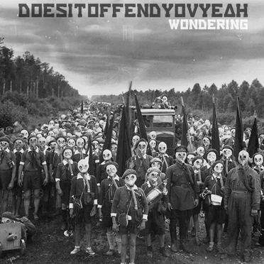 Wondering by Does It Offend You, Yeah? - album cover