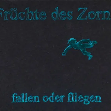 fallen oder fliegen by Früchte des Zorns - album cover