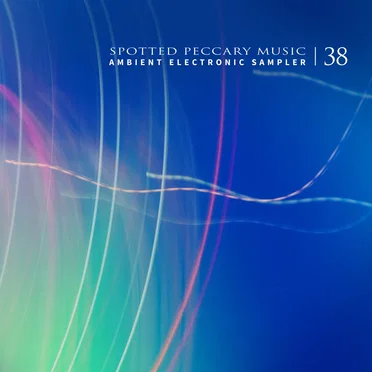 38 — Ambient Electronic Sampler by Various Artists - album cover
