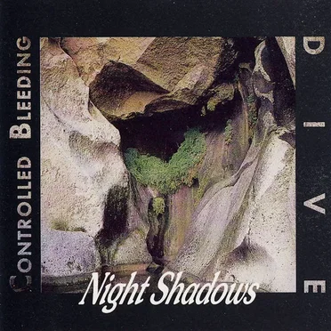 Night Shadows