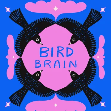Bird Brain