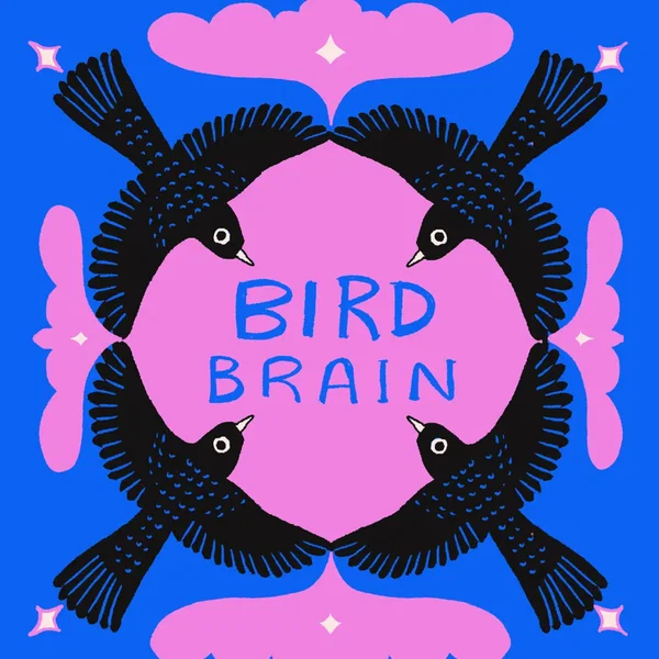 Bird Brain