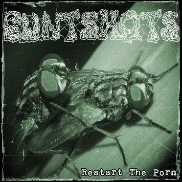 Restart the Porn by Cuntshots - album cover