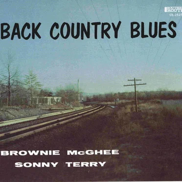 Back Country Blues: 1947-1955 Savoy Recordings