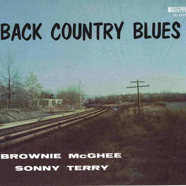 Back Country Blues: 1947-1955 Savoy Recordings