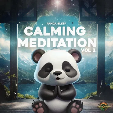 Calming Meditation Vol.3 by Panda Sleep - album cover