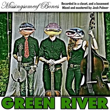 Mississippi Bones