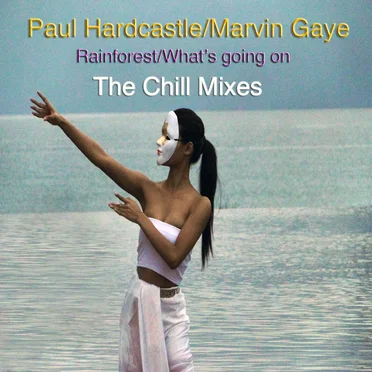 Rainforest/What's Going On (The Chill Mixes) by Paul Hardcastle - album cover