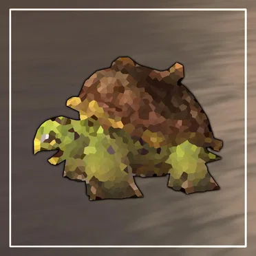 A Turtle Made It to the Water!