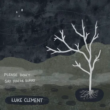 Please Don't Say You're Sorry by Luke Clement - album cover