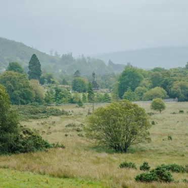 The Isolation Concerts, Volume 14