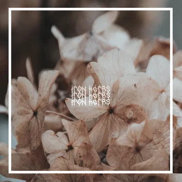 Iron Herbs