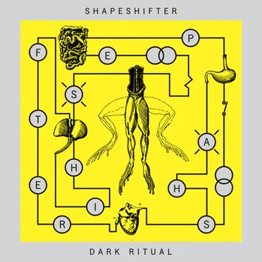 Dark Ritual by Shapeshifter - album cover