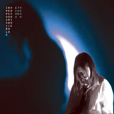 Echo The Moon by Impossible Recording Machine - album cover